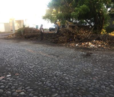 Avanza campaña de limpieza en áreas verdes de la ciudad