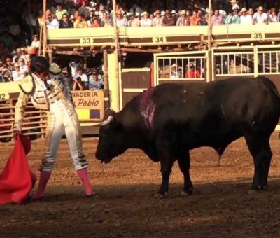 Prohibir corridas de toros, propondrán diputados de MORENA en el Congreso