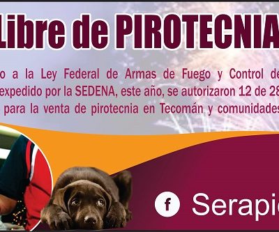 A comisiones la  Iniciativa “Tecomán Libre de Pirotecnia”; Regidor Serapio de Casas