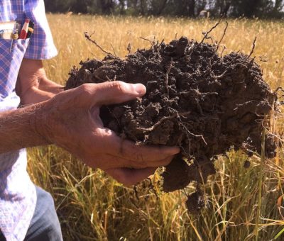 Inyectan agua de lluvia y renegeran suelos con tecnología del INIFAP