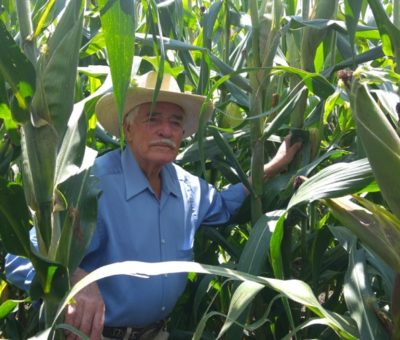 Agroasemex desarrollará tecnología para atender a productores agropecuarios