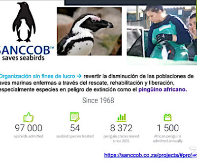 Inició foro internacional sobre análisis de datos, organizado por la UdeC