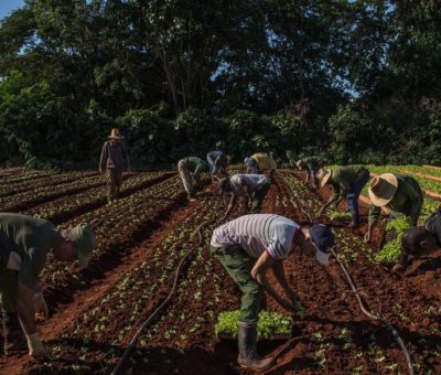 ADVERTENCIA DE MÁS POBREZA Y DESNUTRICIÓN EN MÉXICO Y EN EL MUNDO