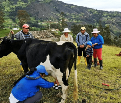 Productores de leche exigen a Segalmex-Liconsa, pago puntual