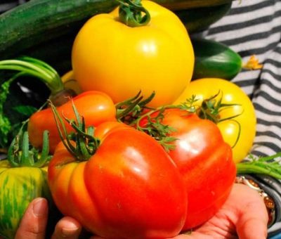 La agroecología provee alimentos más sanos y de mejor calidad