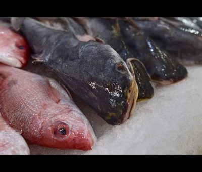 Detectan y aseguran producto de pesca para prevenir riesgo a la salud