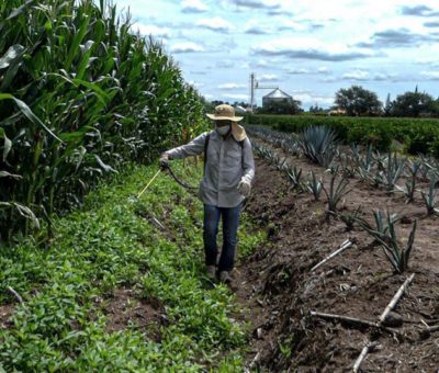 Será un desastre para el campo el decreto que prohíbe el glifosato