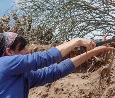 Las mujeres, capaces de sacar adelante al país