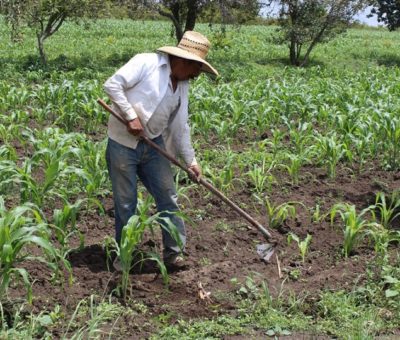 El campo de México, sumido en la pobreza;  el gobierno, decidido a importar alimentos