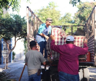 Recogen a diario 17 toneladas de ramas y cacharros en la Villa