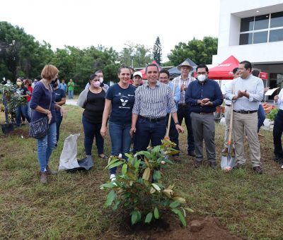 Plantarán universitarios 500 árboles nativos en todos sus campus