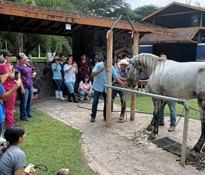 Enseñan a futuros veterinarios técnicas para manejar animales