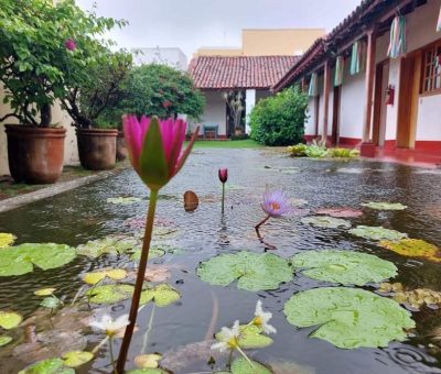 Invita Casa del Archivo a exposición documental del virreinato en Colima 