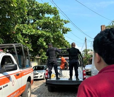Ayuntamiento de Manzanillo castiga a persona por crueldad y maltrato animal