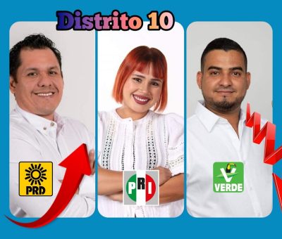 DISTRITOS X, XV Y XVI DE TECOMÁN