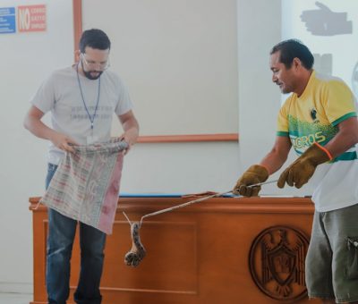 Capacitan a personal universitario en Manzanillo sobre manejo de serpientes