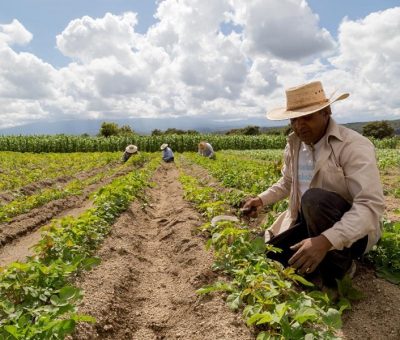 Garantiza nombramiento de Julio Berdegué en la SADER avance en seguridad alimentaria