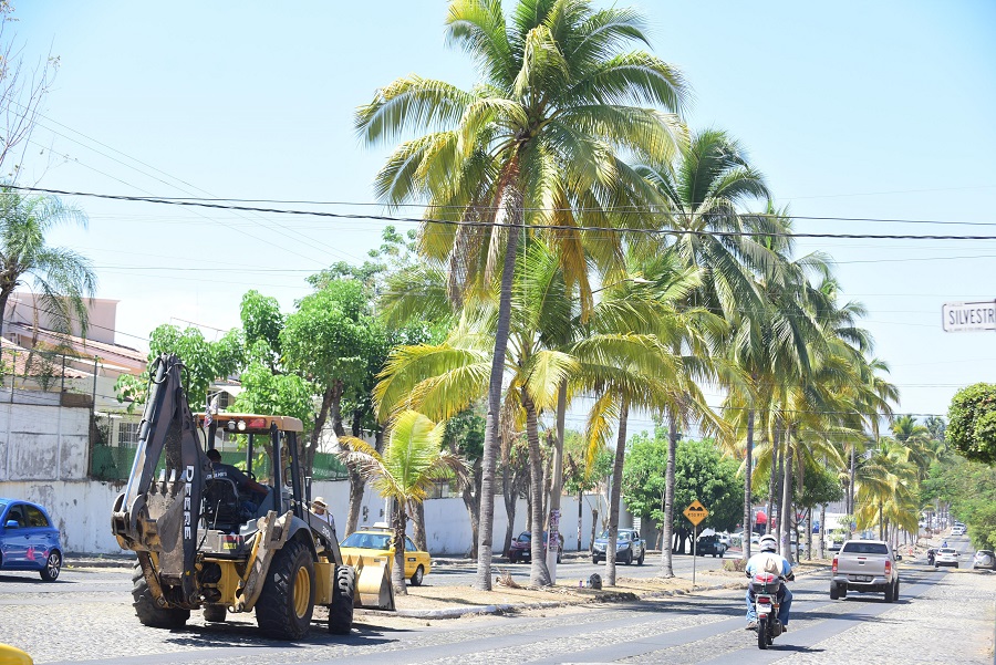 Se sigue trabajando en el remozamiento de camellones, parques y jardines del municipio: Riult Rivera
