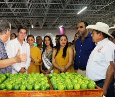 El stand agropecuario de la dirección de Desarrollo Rural de los más visitados en la Feria del Limón
