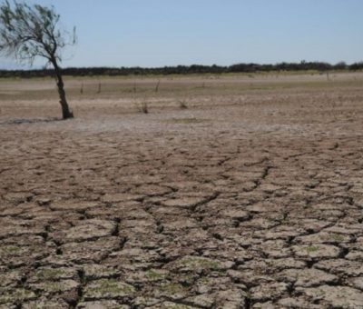 Urgente recuperar los suelos del noroeste de México