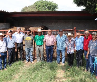 Felipe Cruz Entrega 7 Sementales a Productores del Campo, del Programa Prodeter