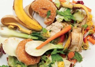 DESPERDICIO DE ALIMENTOS EN MÉXICO Y EN EL MUNDO