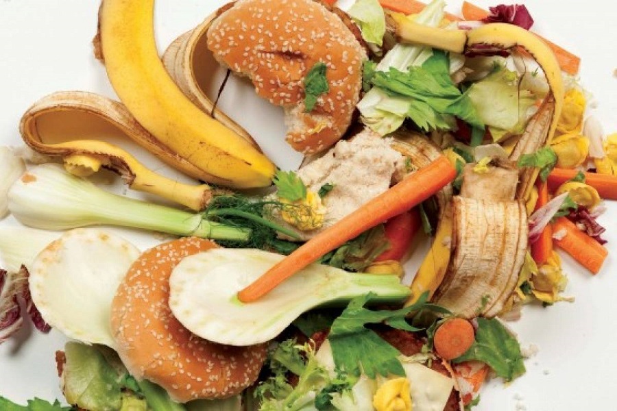 DESPERDICIO DE ALIMENTOS EN MÉXICO Y EN EL MUNDO