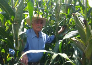 Agroasemex desarrollará tecnología para atender a productores agropecuarios