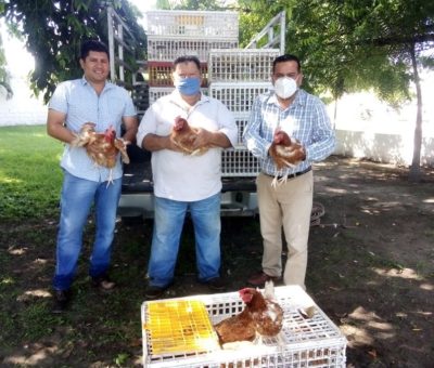 Benefician a más de 50 familias  con proyecto productivo de gallinas ponedoras