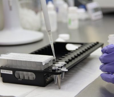 FGE llama a la toma de muestras genéticas