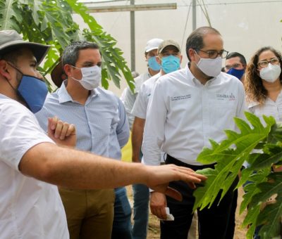 Muestran avances de proyecto nacional sobre papaya y chile habanero, coordinado por la UdeC