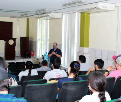 Plaguicidas causan muerte masiva de abejas: Expertos