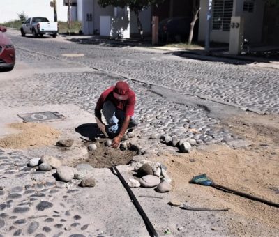 Ayuntamiento continúa con el cuidado y en el embellecimiento de Manzanillo