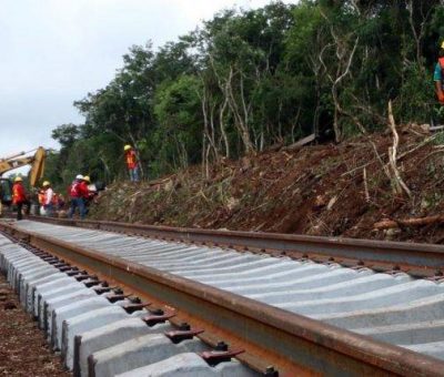 Tren Maya: sin proyecto de obra, sobre-inversión federal, desastre ambiental, despojo a ejidos y comunidades