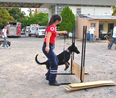El Ayuntamiento de Manzanillo lleva un 70 % de  avance en adiestramiento canino para búsqueda y rescate