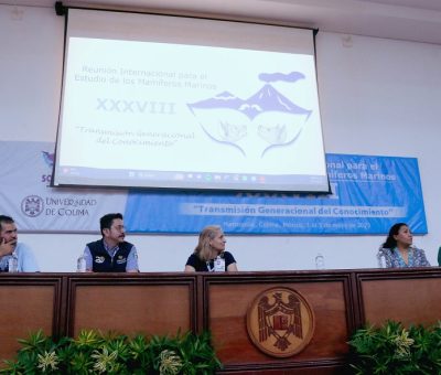 Analizan expertos cómo los puertos y barcos afectan vida de los mamíferos marinos