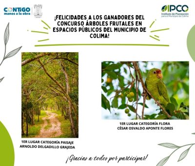 Eligen a ganadores del concurso de fotografía de árboles frutales en espacios públicos de Colima