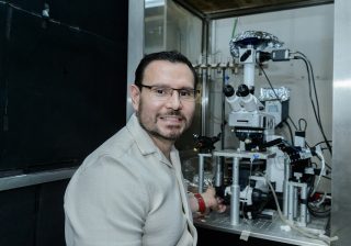 Estudian investigadores efecto antidepresivo de la capsaicina, que se encuentra en chiles