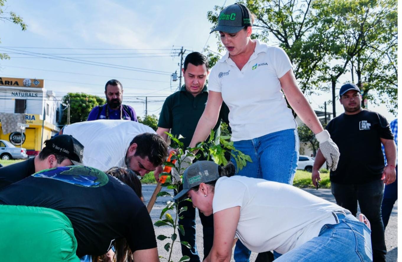 UdeC y Ayuntamiento de Colima plantan 80 árboles en la colonia Oriental